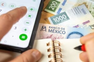 calculadora con moneda mexicana y graficos financieros