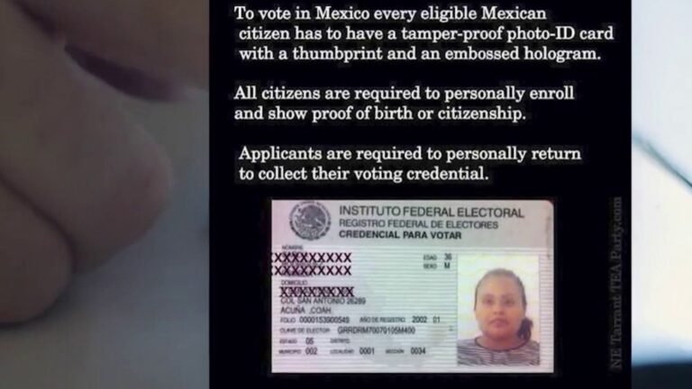 persona sosteniendo credencial de elector mexicana